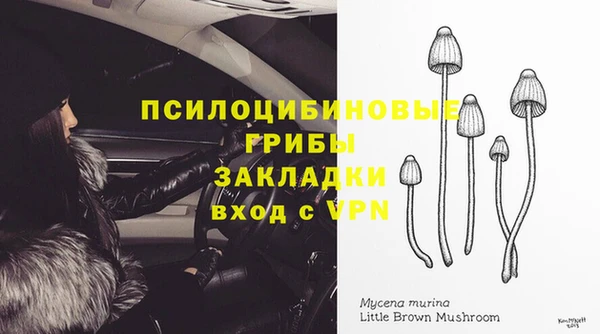 герыч Зеленокумск