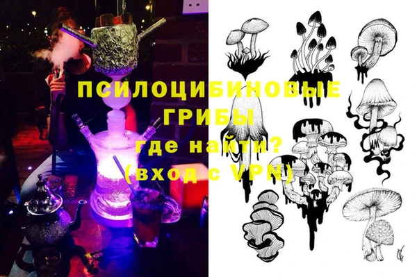 не бодяженный Заводоуковск